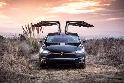 美國也有ppt造車 號稱1127km續航的電動suv,細節卻經不住推敲
